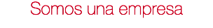Somos una empresa